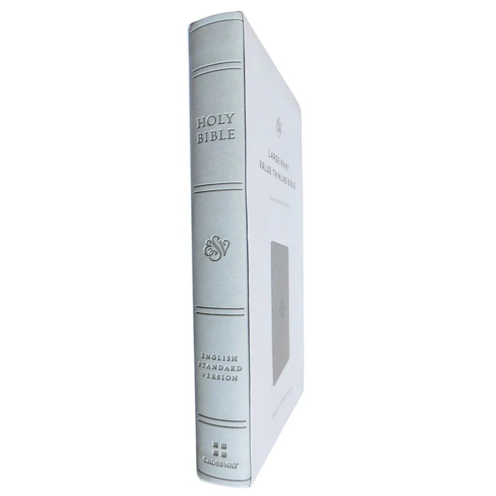 Crossway ESV Large Print Value Thinline Bible River Stone Branch TruTone NEW
